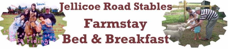 Jellicoe Road Stables - Farmstay - Bed and Breakfast