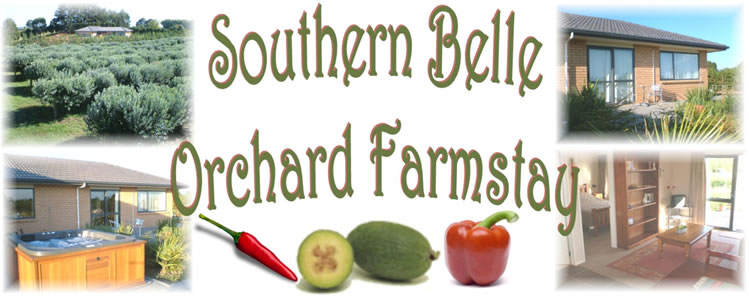 Southern Belle Orchard Farmstay - Self-catering accommodation