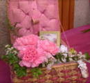 Matamata Festival of Flowers