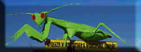 Stocker Horticulture & Hydroponic Supplies