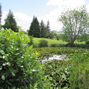 Tirau Golf Club