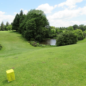 Tirau Golf Club